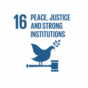 SDG 16.6