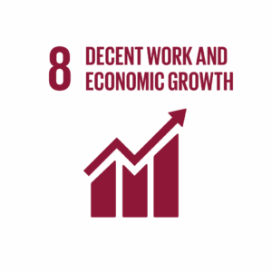 SDG 8.10